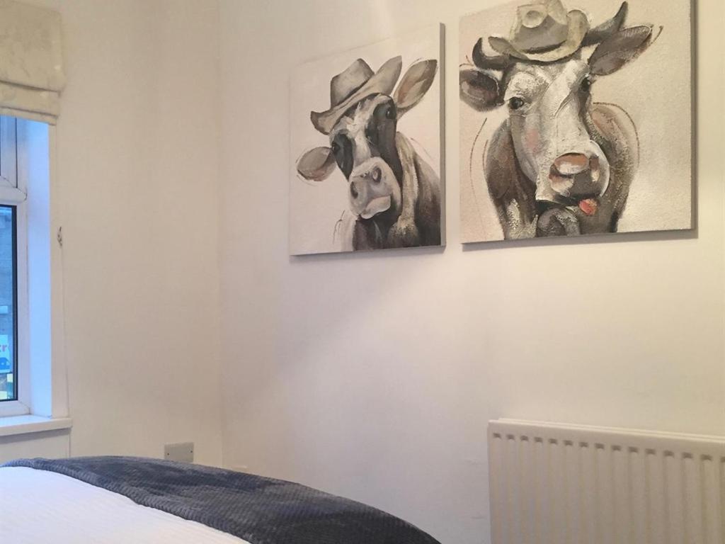 Durham Serviced Properties - The Sanctuary Chambre photo